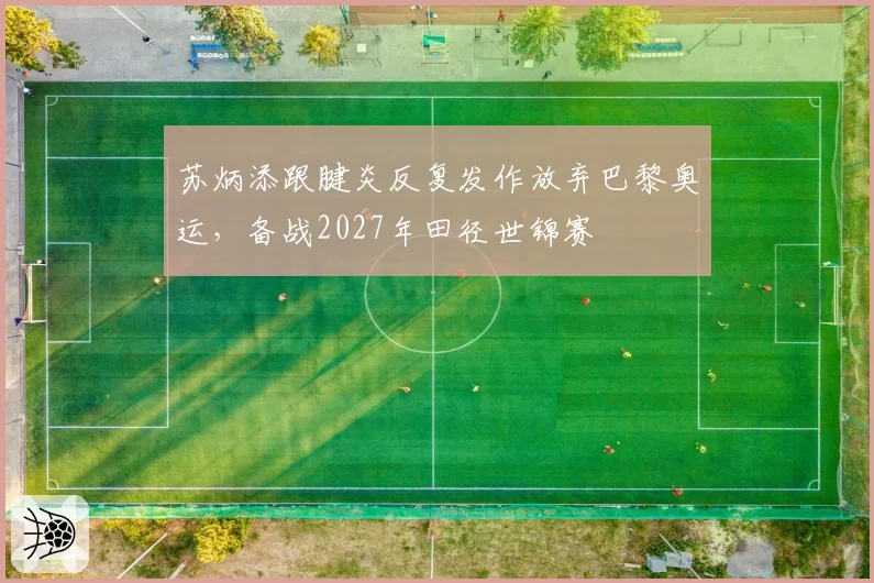苏炳添跟腱炎反复发作放弃巴黎奥运,备战2027年田径世锦赛