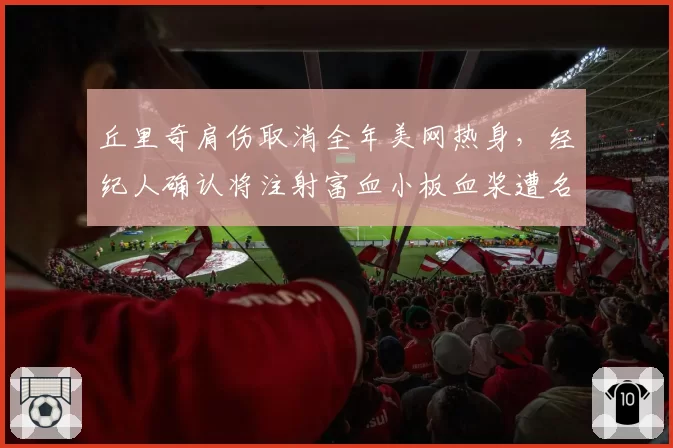 丘里奇肩伤取消全年美网热身,经纪人确认将注射富血小板血浆遭名宿炮轰太激进
