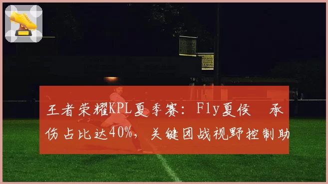 王者荣耀KPL夏季赛：Fly夏侯惇承伤占比达40%，关键团战视野控制助狼队取胜